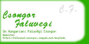 csongor faluvegi business card